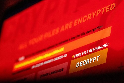 Internationalen Ermittlern ist ein Schlag gegen cyberkriminelle Erpresser gelungen. (Symbolbild) - © Lino Mirgeler/dpa