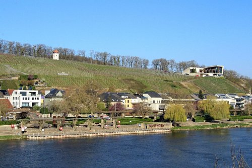 Schengen ist ein Weinort an der Mosel: Auf dem Markusberg direkt am Fluss liegt ein Weingut. - © Bernd F. Meier/dpa-tmn