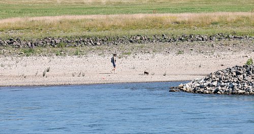 Schwimmen im Rhein ist lebensgefährlich - daran erinnern die Behörden immer wieder. - © Thomas Banneyer/dpa