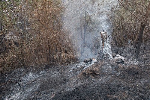 Bei dem Feuer in Tres Cantos kam ein Mann in den Flammen ums Leben. - © Rafael Bastante/EUROPA PRESS/dpa