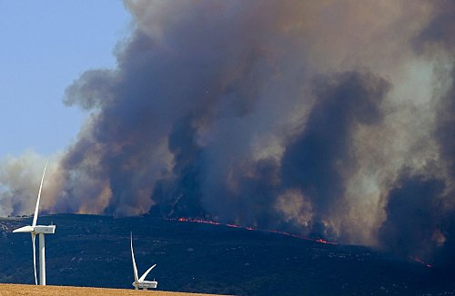 Die Brände bei Tarifa konnten auch am Folgetag zunächst noch nicht alle gelöscht werden. - © Nono Rico/EUROPA PRESS/dpa