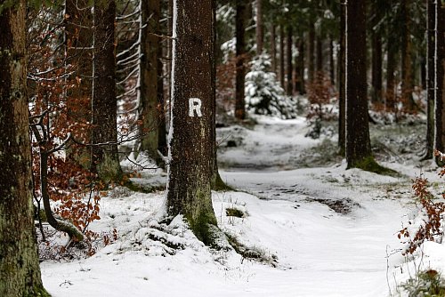 Schneefälle haben den Rennsteig im Thüringer Wald in eine Winterlandschaft verwandelt. - © Michael Reichel/dpa