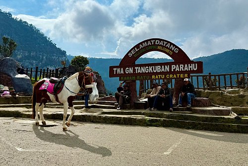 Am Ratu-Krater warten Pferde und Souvenir-Verkäufer auf Kunden. - © Carola Frentzen/dpa-tmn