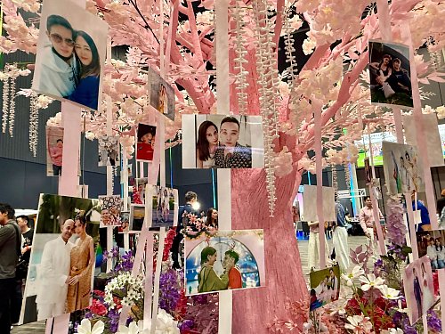 Romantische Deko: An einem rosa Liebesbaum waren Fotos queerer Paare zu sehen. - © Carola Frentzen/dpa