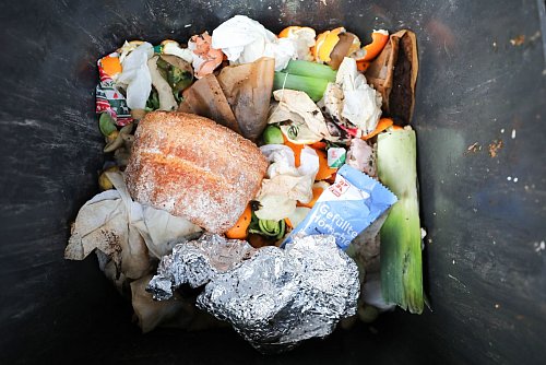 Nicht alles, was hier zu sehen ist, darf rein in die Biotonne. - © Jan Woitas/dpa-Zentralbild/dpa