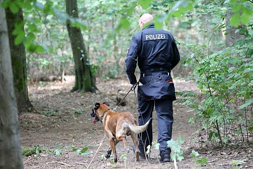 Mit großen Suchaktionen hatte die Polizei etwa im Altonaer Volkspark in Hamburg nach der vermissten Hilal gesucht. (Archivbild) - © Bodo Marks/dpa