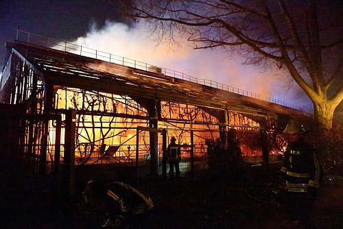 Bei dem Großbrand in der Silvesternacht 2019/2020 waren etwa 50 Tiere gestorben, darunter acht Menschenaffen, die Lieblinge des Publikums waren. (Archivbild) - © Andreas Drabben/dpa