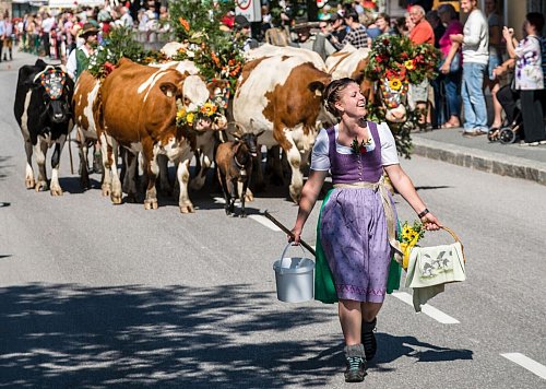 In Filzmoos findet zum Almabtrieb am 16. September ein Fest mit Bauernmarkt und Musik statt. - © Coen Weesjes/Filzmoos Tourismus /dpa-tmn
