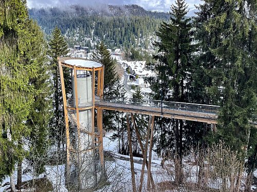 Abwechslung von der Piste: Der Senda dil Dragun wird als la?ngster Baumwipfelpfad der Welt beworben. - © Manuel Meyer/dpa-tmn