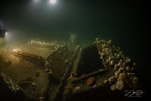 Das Team von «ProjectXplore» hat es sich zum Ziel gesetzt, historisch bedeutsame Schiffswracks zu finden. - © Dr. Steffen G. Scholz/ProjectXplore /dpa