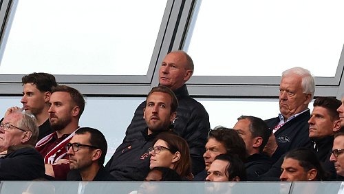 Der gesperrte Harry Kane fieberte auf der Tribüne mit. - © Jan Woitas/dpa