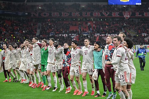 Bayern München träumt vom Finale dahoam. - © Fabian Strauch/dpa