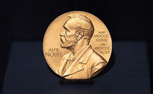 Die Nobelmedaille gilt als eine der prestigeträchtigsten Auszeichnungen der Erde. - © Daniel Reinhardt/dpa