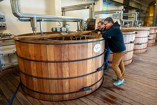 Blick in den Gärbottich: Rundgang durch den Betrieb der St. Kilian Distillers. - © Andreas Drouve/dpa-tmn