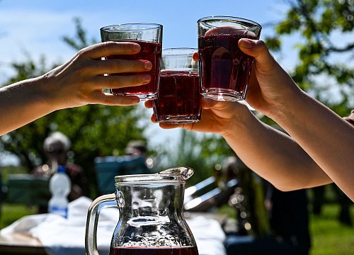 Wer kühle Getränke bei seiner Gartenparty haben will, könnte sich einen Kühlschrank in den Garten stellen. - © Jens Kalaene/dpa