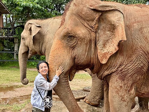 Schon mit 17 entschied Lek, ihr Leben den Elefanten zu widmen. - © Carola Frentzen/dpa