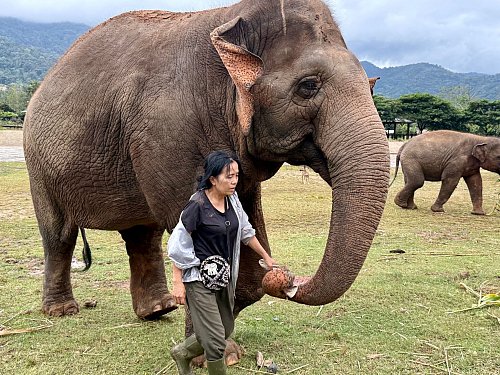 Lek ist für ihre Arbeit vielfach ausgezeichnet worden. - © Carola Frentzen/dpa