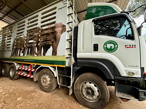 In solchen Trucks werden die Elefanten nach ihrer Rettung in den Elephant Nature Park gefahren. - © Carola Frentzen/dpa