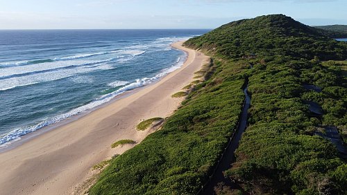 Massentourismus ist im Maputo Nationalpark nicht zu erwarten. - © Peace Parks Foundation/dpa-tmn