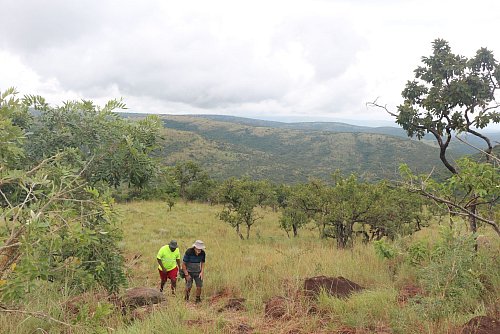 Im Grenzgebiet von Eswatini und Mosambik unterwegs: Wanderung von Mhlumeni nach Goba. - © Christian Seiz/dpa-tmn