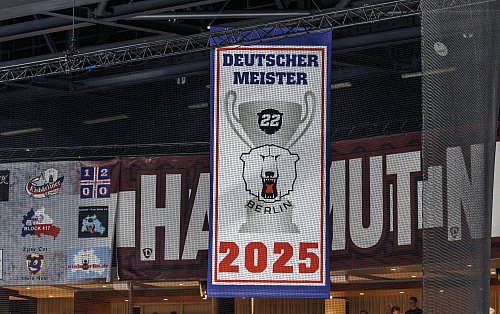 Im zweiten Versuch hängt auch das Meisterbanner seit Dienstagabend unter der Hallendecke. - © Andreas Gora/dpa