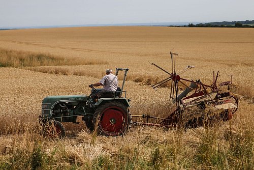 In NRW wächst Getreide auf fast der Hälfte der Ackerfläche. - © Oliver Berg/dpa