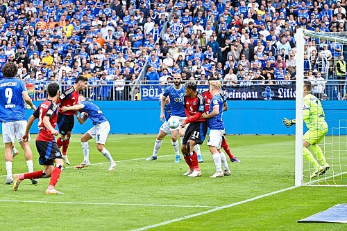 Traf zur HSV-Führung: Ludovit Reis. - © Uwe Anspach/dpa