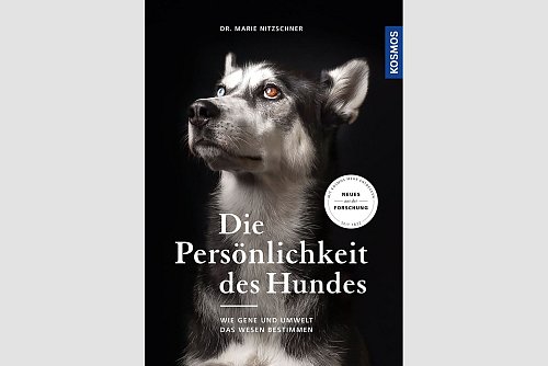 Marie Nitzschner: «Die Persönlichkeit des Hundes. Wie Gene und Umwelt das Wesen bestimmen.» Kosmos, 192 Seiten, 25 Euro, ISBN: 978-3-440-15852-4. - © Nora Brede/Kosmos/dpa-tmn