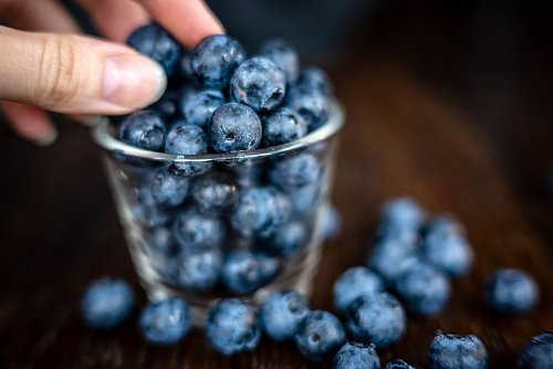 Klein, blau, erfolgreich als Snack: die Heidelbeere. Sie boomt immer noch. (Archivfoto) - © Sina Schuldt/dpa