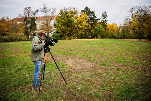 Im Park Thomashöhe haben Experten Sprengstoff gesprengt. - © Christoph Soeder/dpa