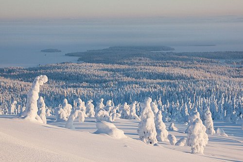Blick vom Gipfel des Riisitunturi auf den Kitkajärvi-See: In den wenigen hellen Stunden entfaltet sich ein unvergleichliches Winterpanorama. - © Tea Karvinen/Visit Finland/dpa-tmn