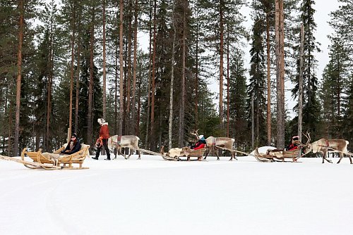 Rentierschlittenfahrt durch den Winterwald: So ungefähr fühlt sich also der Weihnachtsmann. - © Verena Wolff/dpa-tmn