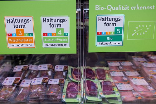 Die großen Handelsketten wollen bis 2030 auf höhere Haltungsformen umsteigen. (Archivbild) - © Rolf Vennenbernd/dpa
