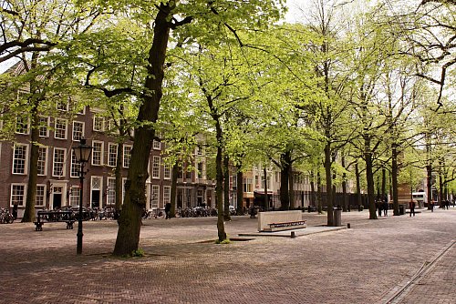 Standort prunkvoller Stadtvillen: der Boulevard Lange Voorhout in Den Haag. - © Bernd F. Meier/dpa-tmn