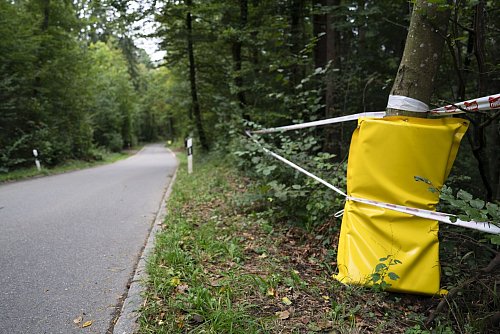 Die mutmaßliche Unfallstelle von Muriel Furrer. - © Til Buergy/KEYSTONE/dpa