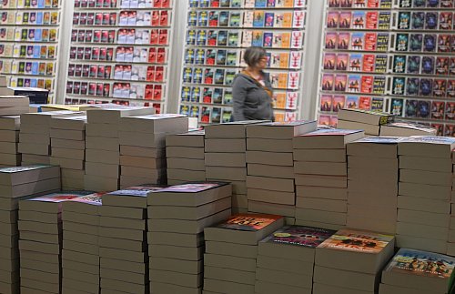 Oft seien Bücher eine Zeit lang besonders im Gespräch, was eine punktuelle kurzfristige Nachfrage erzeugt. - © Arne Dedert/dpa