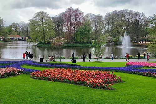 Die Tulpe steht für Holland wie die Windmühle oder der Käse: Besonders prachtvoll in Szene gesetzt wird sie jedes Jahr im Keukenhof, nördlich von Leiden. - © Wolfgang Stelljes/dpa-tmn