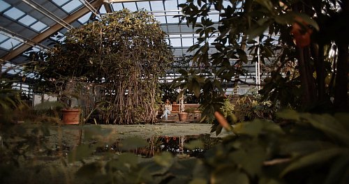 Kleinod mitten in der Stadt: Der Botanische Garten liegt im historischen Zentrum Leidens. - © Gerbert Floor/NBTC/dpa-tmn