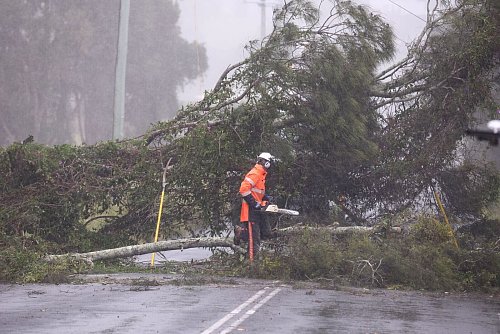 Umgestürzte Bäume und Strommasten: Tausende Anwohner sind bereits ohne Strom. - © Jason O\\\'brien/AAP/dpa