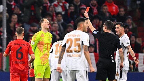 Schiedsrichter Harm Osmers zeigt Manuel Neuer die Rote Karte. - © Tom Weller/dpa
