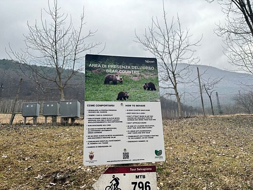 Schilder warnen im Trentino vor Bären. (Archivfoto) - © Robert Messer/dpa