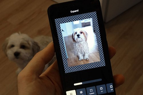 Fotos bearbeitet und verbessert das Xiaomi 15 im Handumdrehen - mit KI-Unterstützung. - © Coman Hamilton/dpa-tmn