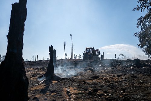 Neben Feuerwehr, Technischem Hilfswerk unterstützt etwa auch die Landesforstanstalt die Löscharbeiten: Ein «Firefighter»-Truck von Thüringen Forst bringt mit großem Löschtank Wasser vor Ort. - © Jacob Schröter/dpa