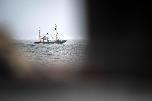 Krabbenfischer verlieren vor Gericht (Foto-aktuell). - © Sina Schuldt/dpa