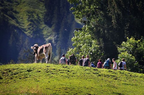 Jeder sechste Inlandstourist aus Deutschland reiste nach Bayern. (Archivbild) - © Karl-Josef Hildenbrand/dpa