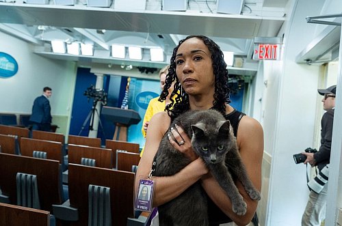 Im Briefing-Raum des Weißen Hauses sind normalerweise keine Katzen unterwegs. - © Alex Brandon/AP/dpa