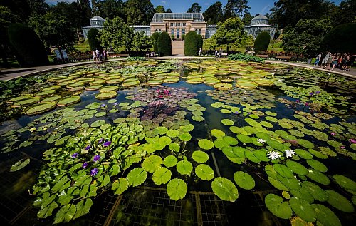 Die Wilhelma ist zoologischer und botanischer Garten zugleich - in Deutschland einmalig, sagen die Betreiber. - © Christoph Schmidt/dpa