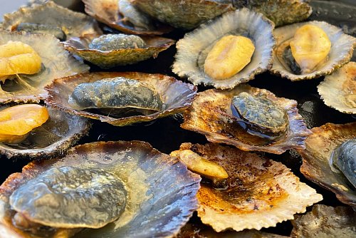 Fußläufig vom Weingut entfernt: das Finca-Restaurant am Strand, wo zum Wein frische Napfmuscheln serviert werden. - © Manuel Meyer/dpa-tmn