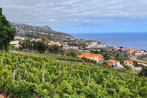 Schenkt Bio-Weine im Bodega-Restaurant «Bago» aus: die Quinta das Vinhas im Südwesten der Insel. - © Manuel Meyer/dpa-tmn