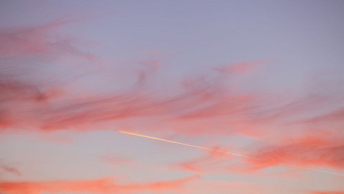 Der ersten Kraniche kommen zurück und die Hasel blüht. Die Vorboten des Frühlings sind unterwegs. (Foto Archiv) - © Rolf Vennenbernd/dpa